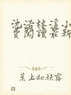沈浩林溪小说免费阅读最新章节更新