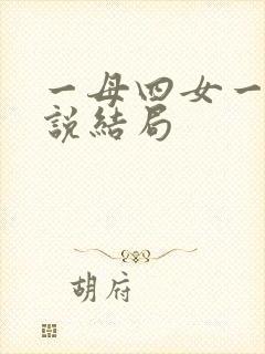 一母四女一婿小说结局