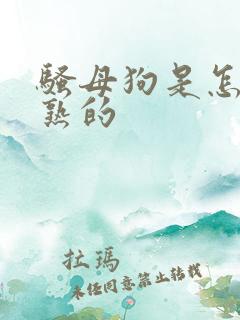 骚母狗是怎样操熟的