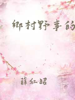 乡村野事的小说