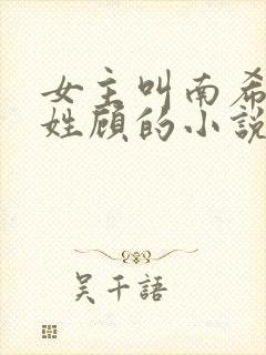 女主叫南希男主姓顾的小说