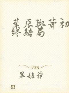 叶辰与萧初然最终结局