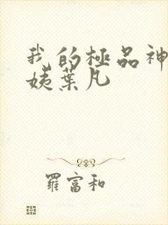 我的极品神级小姨叶凡
