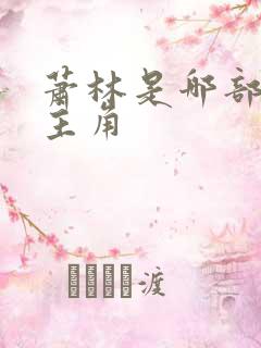萧林是哪部小说主角