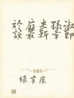 于庭光孙淑贤小说最新章节更新内容