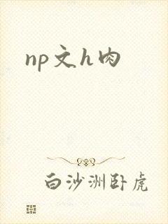 np文h肉