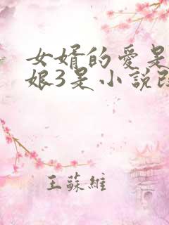 女婿的爱是丈母娘3是小说改编吗