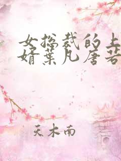 女总裁的上门龙婿叶凡唐若雪
