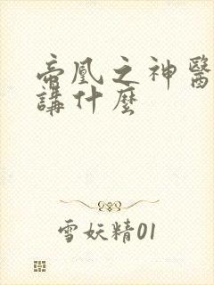 帝凰之神医弃妃讲什么