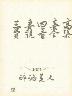 三妻四妾高清免费观看全集