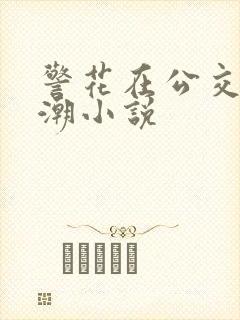 警花在公交车高潮小说