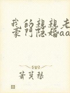 我的亲亲老婆之豪门隐婚aa制