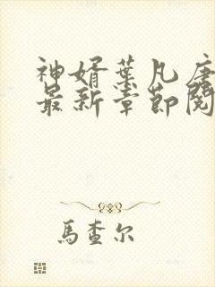 神婿叶凡唐若雪最新章节阅读