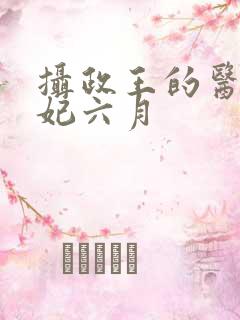 摄政王的医品王妃六月