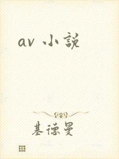 av 小说