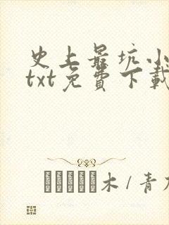 史上最坑小道士txt免费下载