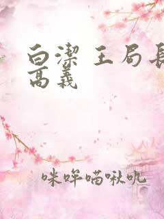 白洁 王局长 高义
