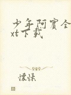 少年阿宾全文txt下载