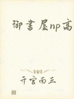 御书屋np高h