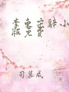 李东宋辞小说正版免费