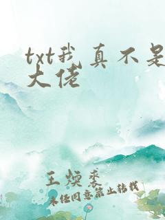 txt我真不是大佬