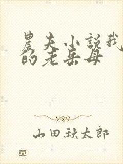 农夫小说我和我的老岳母
