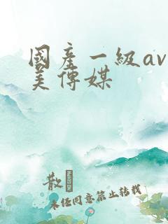 国产一级av天美传媒