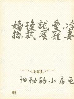 婚后试爱,冷面总裁蜜宠妻