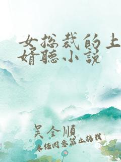 女总裁的上门狂婿听小说