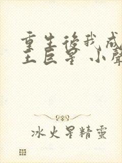 重生后我成了天王巨星 小声滴滴