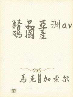 精品亚洲av乱码国产