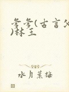 爹爹(古言父女)林玉