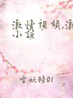 激情视频,激情小说
