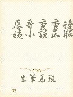 辰哥秀秀后妈丽姨小说正版阅读