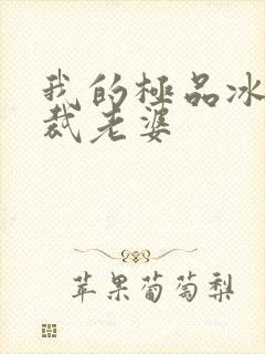 我的极品冰山总裁老婆