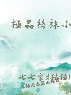 极品丝袜小说h