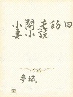 小阁老的田园娇妻小说