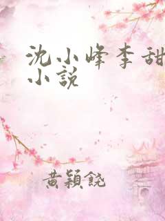 沈小峰李甜什么小说
