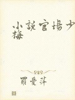 小说官场少妇张梅
