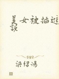 美女被插进去小说