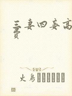 三妻四妾高清免费