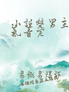 小说双男主一口气看完