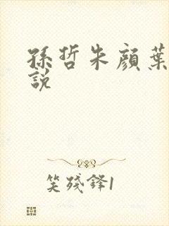 孙哲朱颜叶巧小说