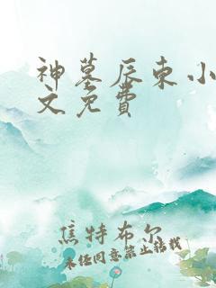 神墓辰东小说全文免费