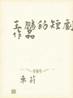 王鹏的短剧全部作品