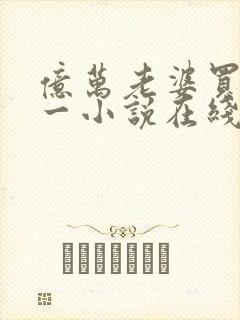 亿万老婆买一送一小说在线看