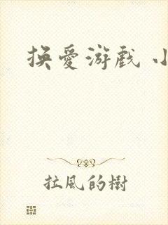 换爱游戏 小说