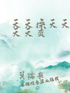 天天操天天干天天天爽