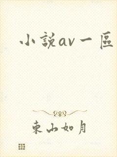 小说av一区