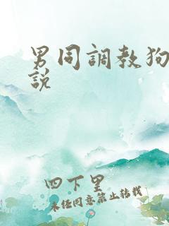 男同调教狗奴小说